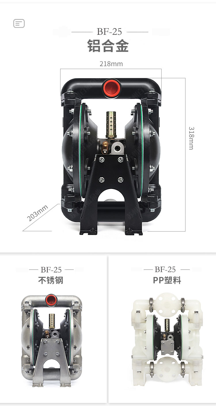 BF型大流量氣動隔（gé）膜泵(圖6)